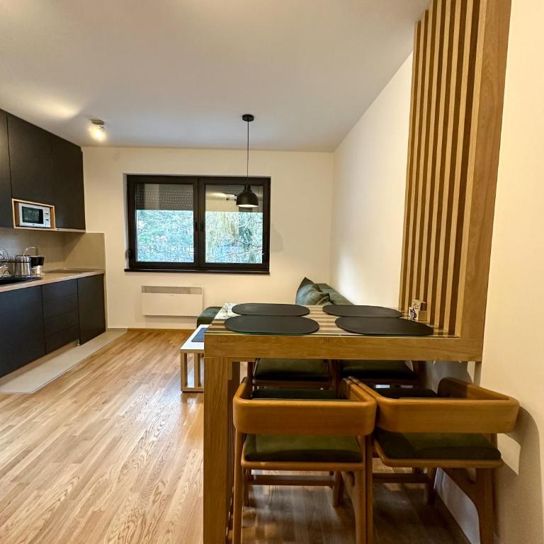 Sofija Apartman Zlatibor - Apartman sa 1 Spavaćom Sobom - 18