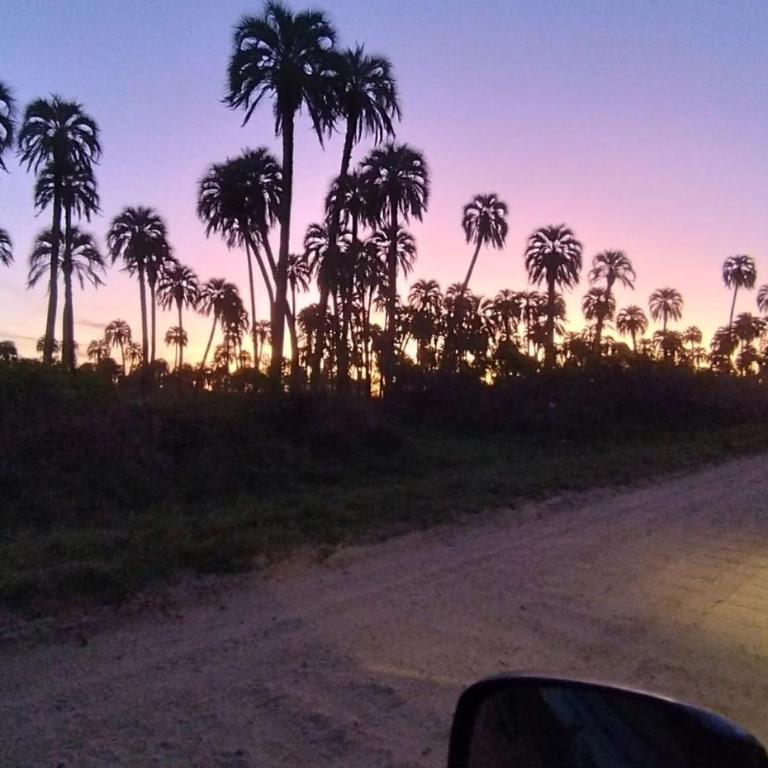 RIO ARRIBA - Apartamento de 1 dormitorio - 17