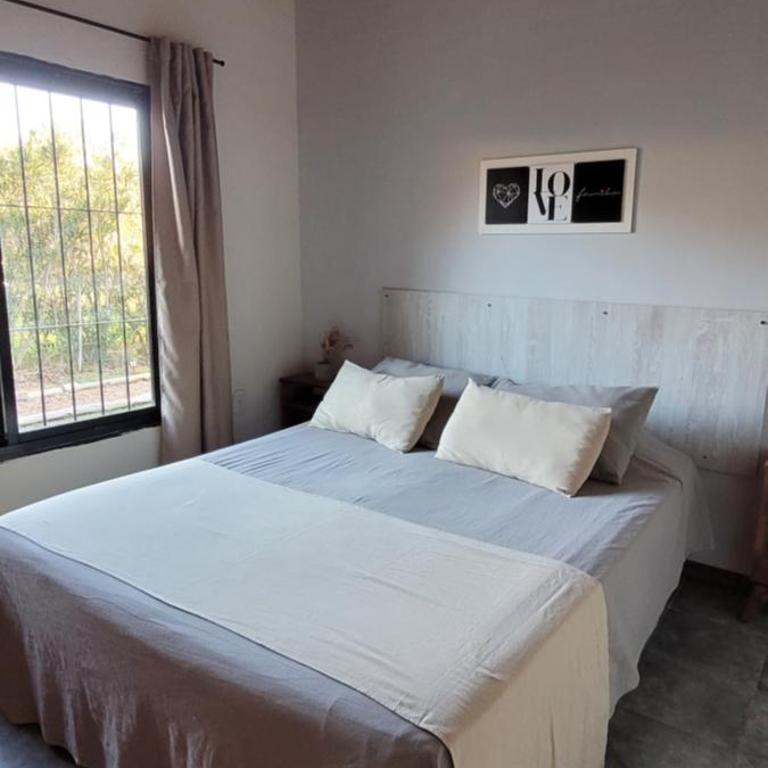 RIO ARRIBA - Apartamento de 1 dormitorio - 15