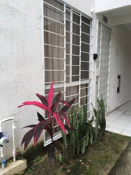 Departamento Tropical en Playa del Carmen - Apartamento de 2 dormitorios - 20