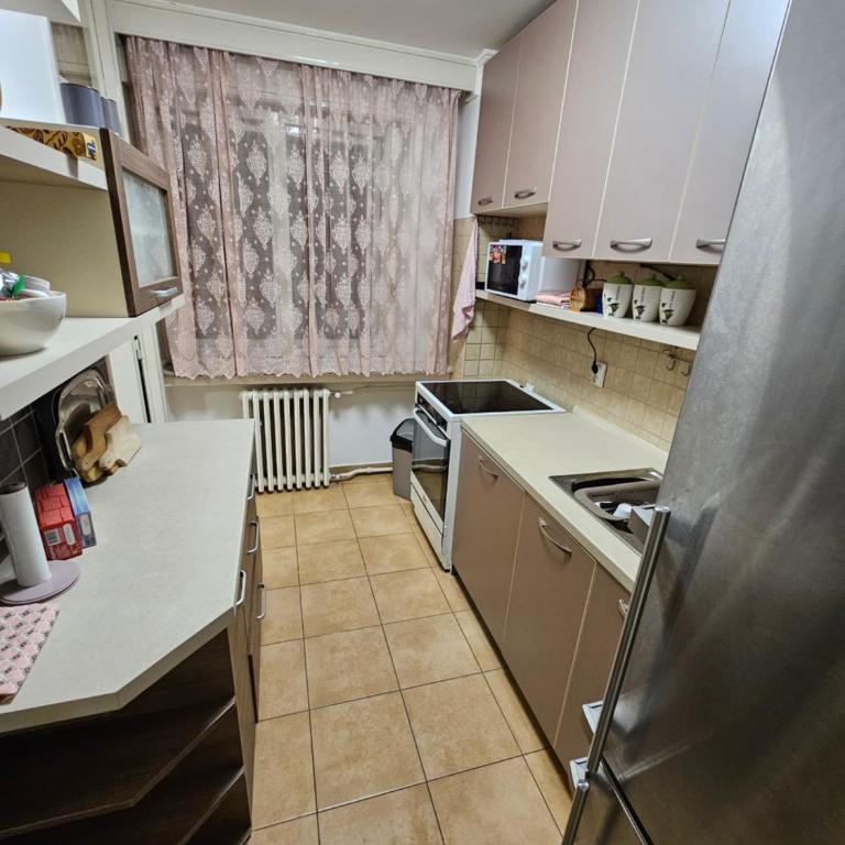Slavija Apartment - Apartman sa 2 Spavaće Sobe - 11