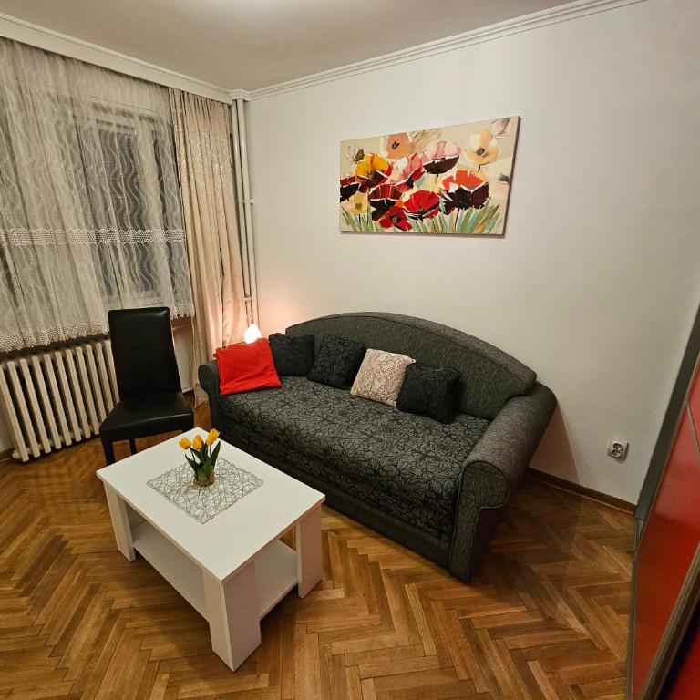 Slavija Apartment - Apartman sa 2 Spavaće Sobe - 7