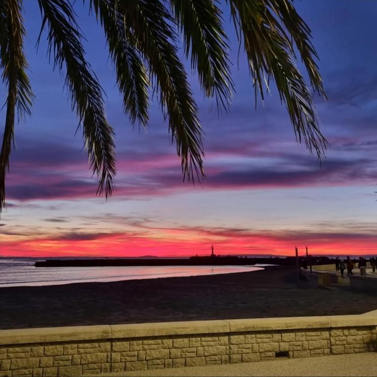 100 m de la plage - Les Cigales de Mer - Studio Cabine - Parking - Studio - 12
