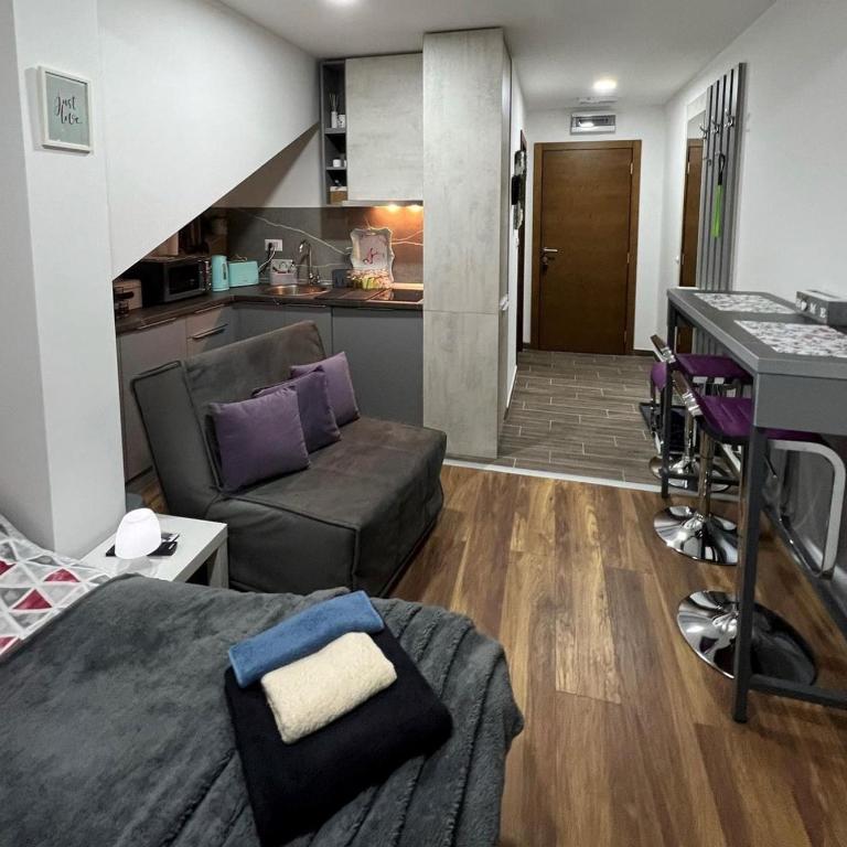 Apartman Kruna President Kop - One-Bedroom Apartment - 10