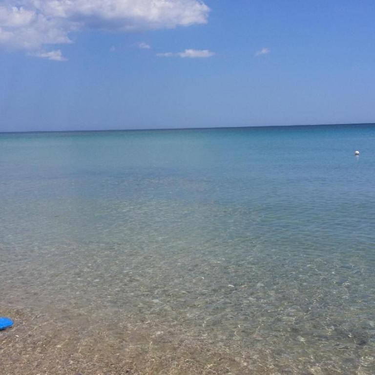 Apartment Eucaliptus sea view - Appartamento - 11