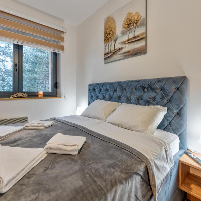 Apartman Dream Zlatibor - Apartman sa 1 Spavaćom Sobom - 22