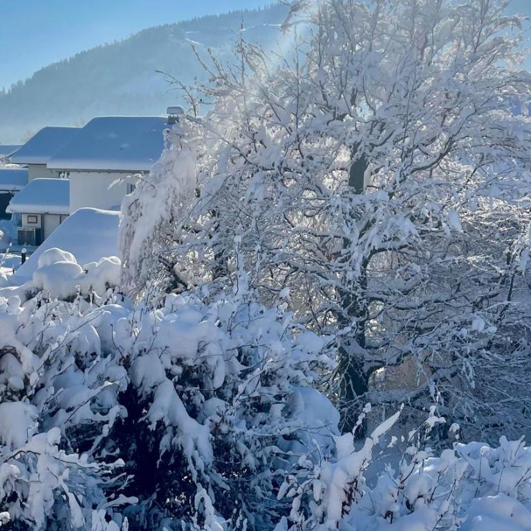 Ferienwohnung Alpseeliebe - Apartment mit 2 Schlafzimmern und Badezimmer - 31