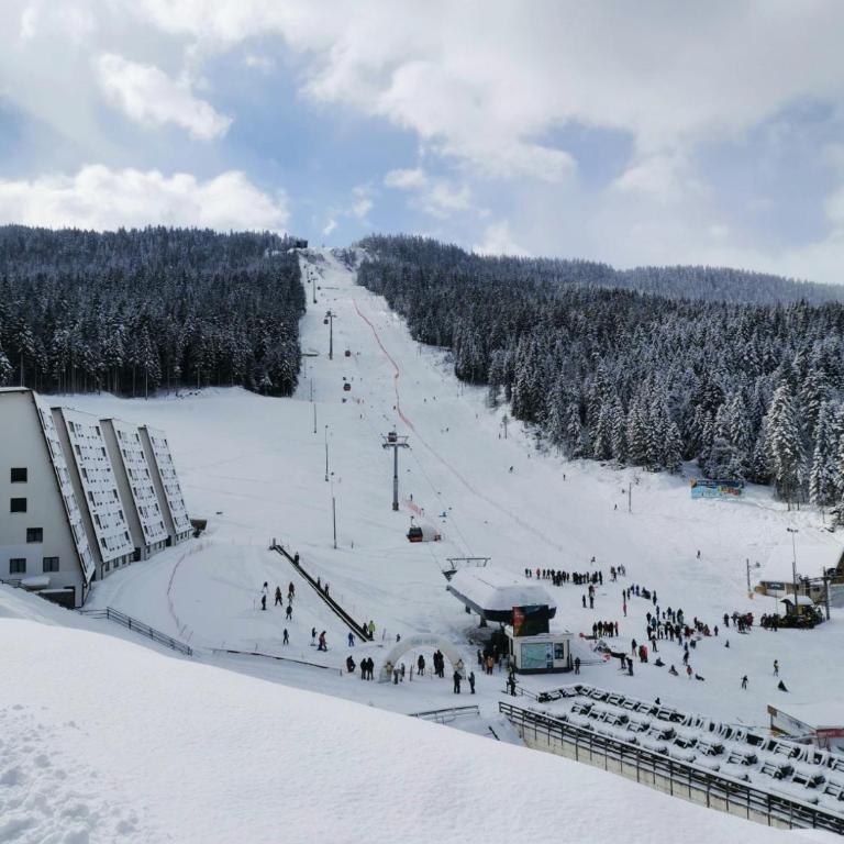 Apartman LeDa - Ski centar Ravna Planina Gornje Pale - One-Bedroom Apartment - 13