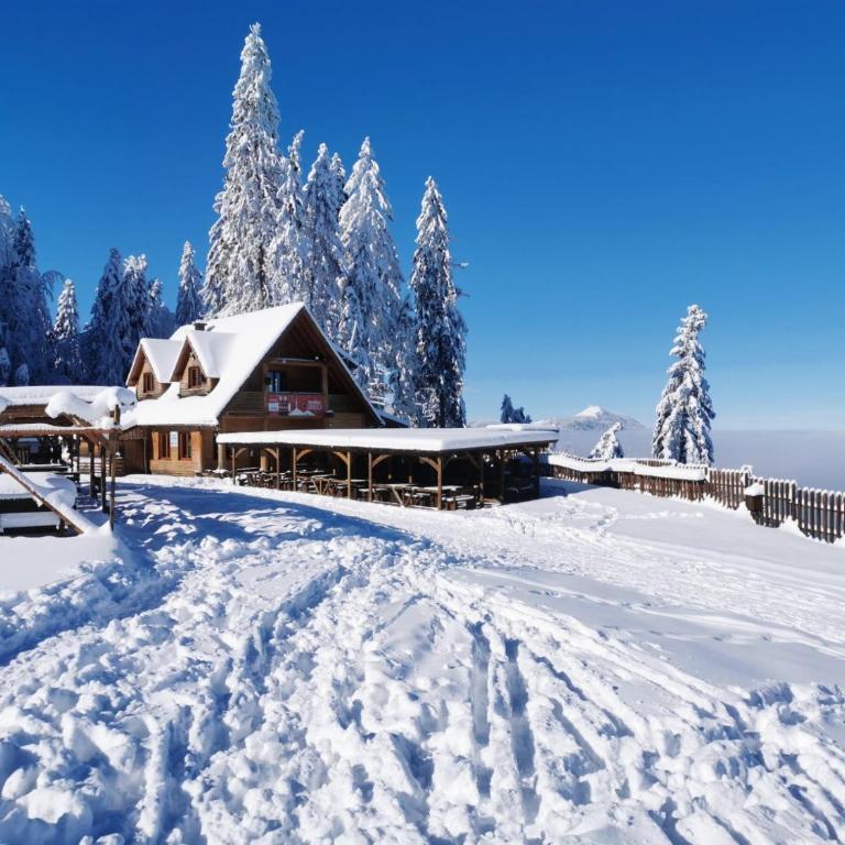 Apartman LeDa - Ski centar Ravna Planina Gornje Pale - One-Bedroom Apartment - 15
