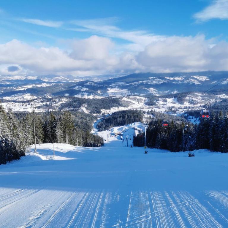 Apartman LeDa - Ski centar Ravna Planina Gornje Pale - One-Bedroom Apartment - 16