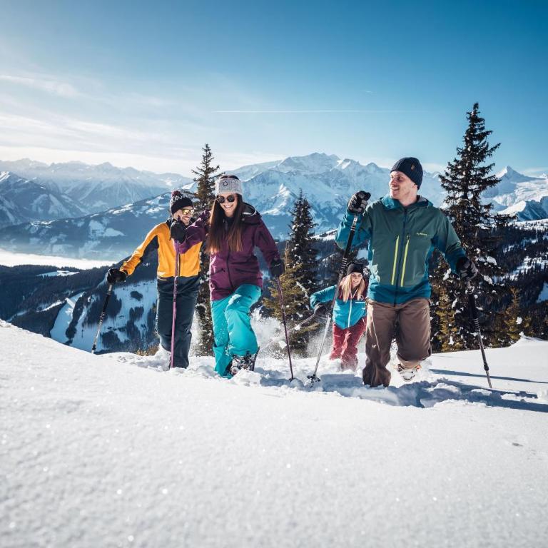 Chalet Badia by we rent, SUMMERCARD INCLUDED - Superior Chalet - 89