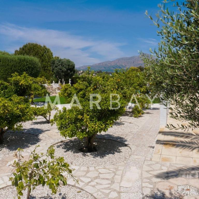 Ca Limonero - Four-Bedroom House - 31