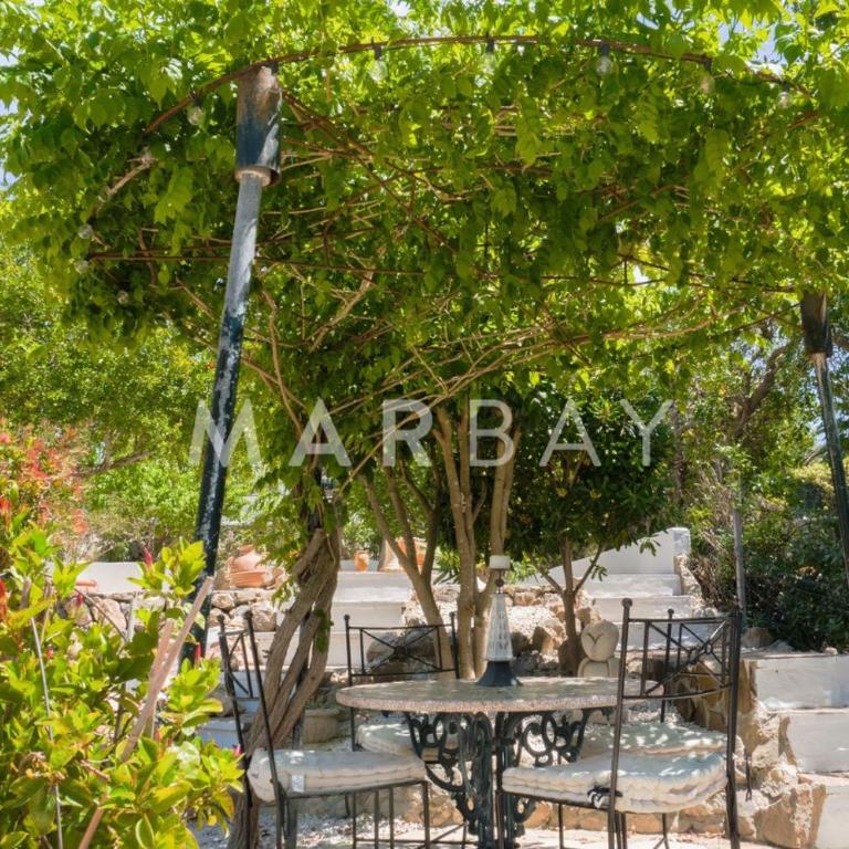 Ca Limonero - Four-Bedroom House - 37