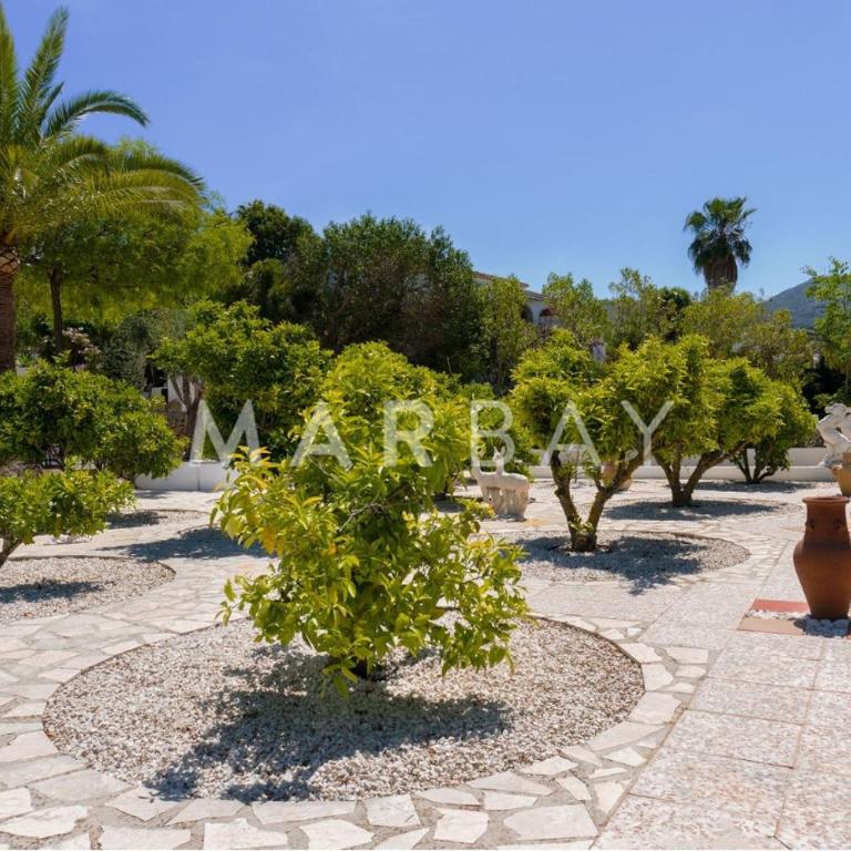 Ca Limonero - Four-Bedroom House - 38