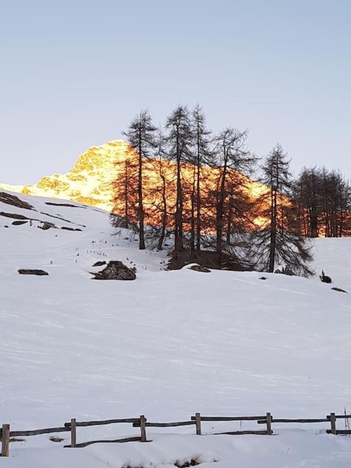 Alloggio Kenne, a 200m dagli impianti Monterosaski - Appartamento con 3 Camere da Letto - 2