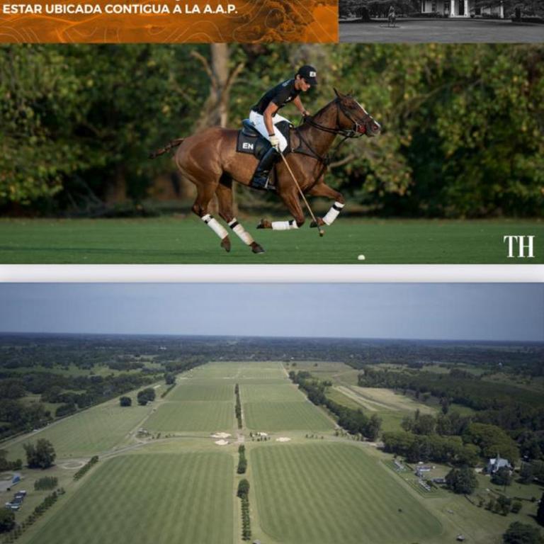 PILARA - Apartamento de 1 dormitorio - 18