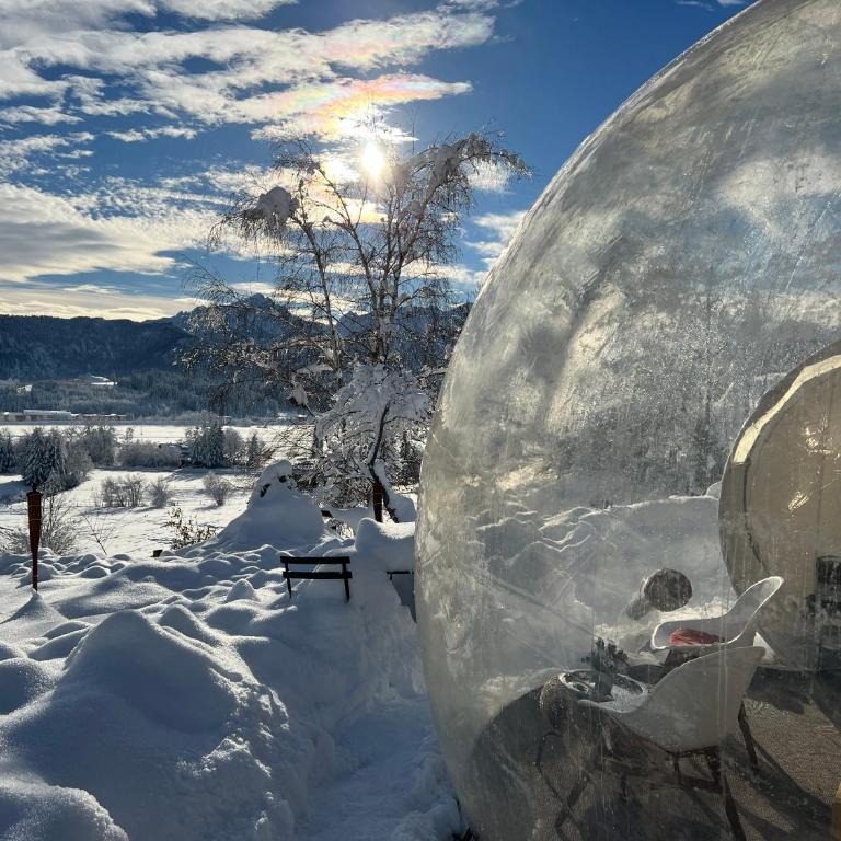 Bubble Tent Füssen im Allgäu - Zelt - 9