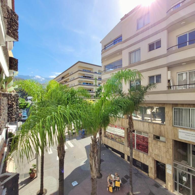 Buenavista Apartment - ADULTS ONLY - - Apartamento de 1 dormitorio - 30