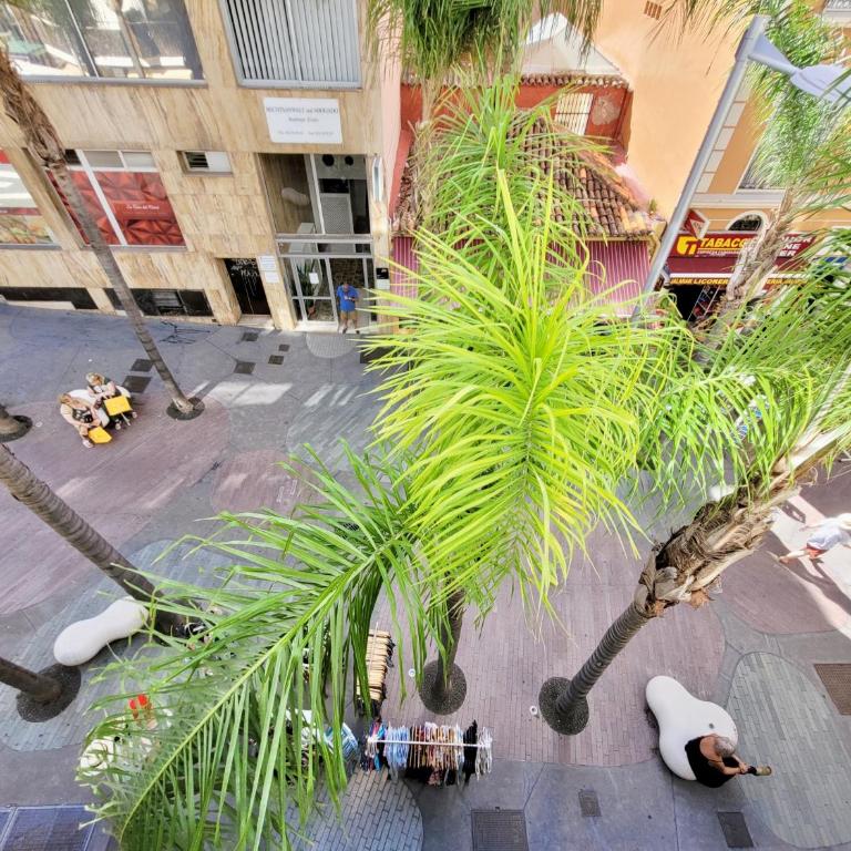Buenavista Apartment - ADULTS ONLY - - Apartamento de 1 dormitorio - 4