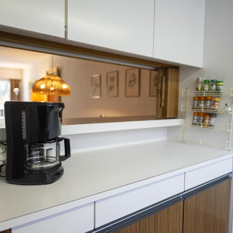 Brentschpark Wohnung 72 - Apartment mit Blick auf die Berge - 7