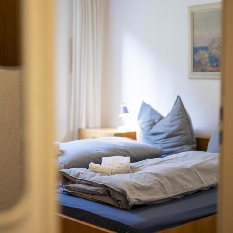 Brentschpark Wohnung 72 - Apartment mit Blick auf die Berge - 14