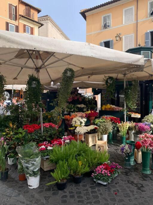 Casa Cristina in Piazza Farnese - Appartamento con 2 Camere da Letto - 19