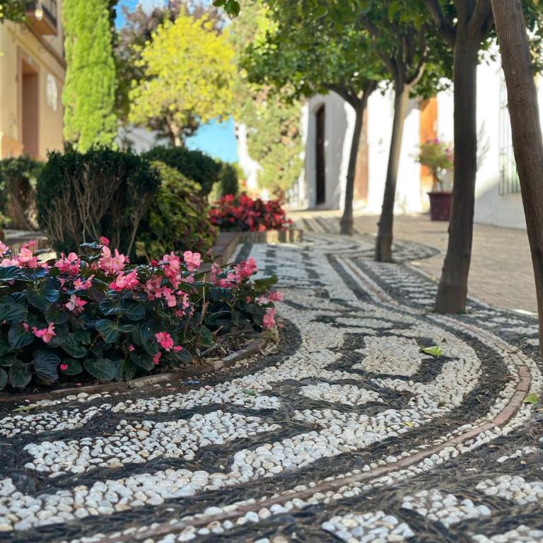 Estepona Center - Apartamento de 3 dormitorios - 33