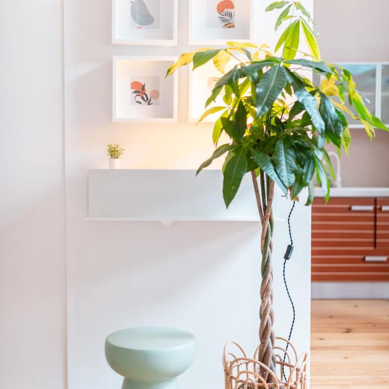 Duplex au cœur du vieux Nice - Appartement 1 Chambre - 21