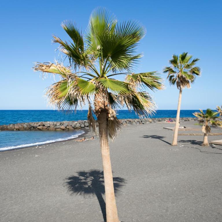 Home2Book Stunning Beachfront House With Sea Views - Casa de 2 dormitorios - 5