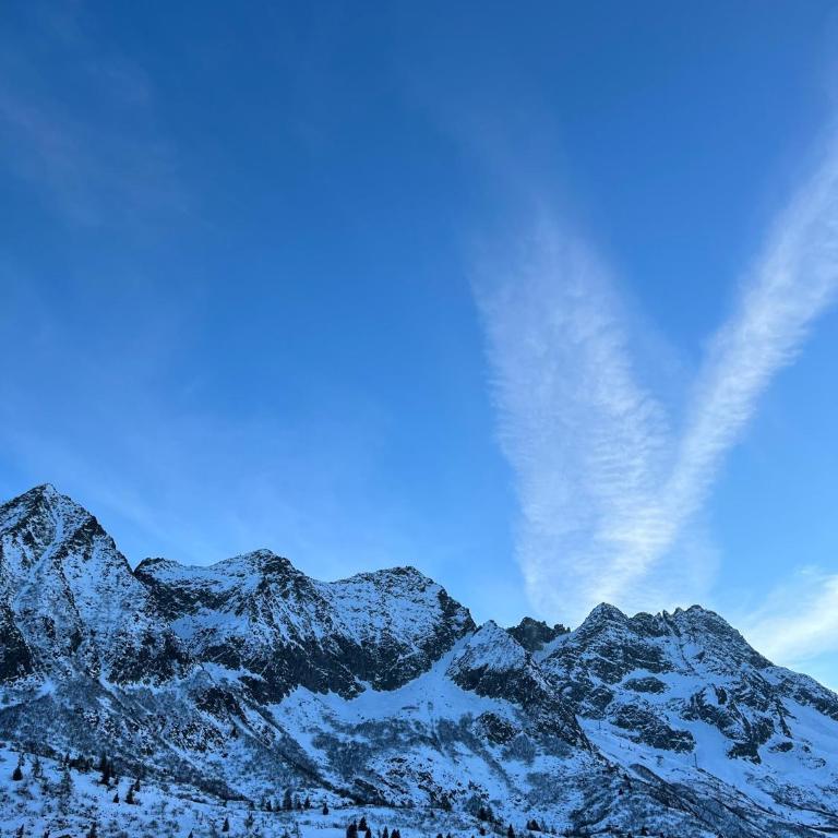 La maison de la neige - Appartamento con 1 Camera da Letto - 25