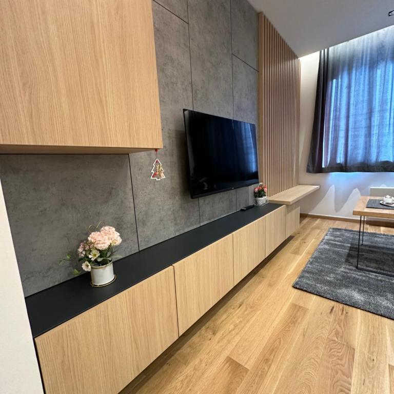 Apartman Viktor 302 - Zlatni Javor - Apartman sa 1 Spavaćom Sobom - 7