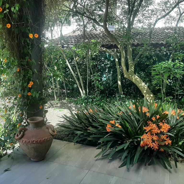 Loft Leloir - Apartamento de 1 dormitorio - 49