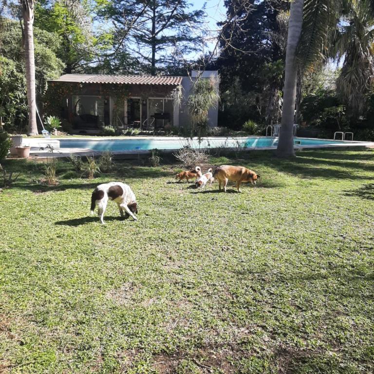 Loft Leloir - One-Bedroom Apartment - 67