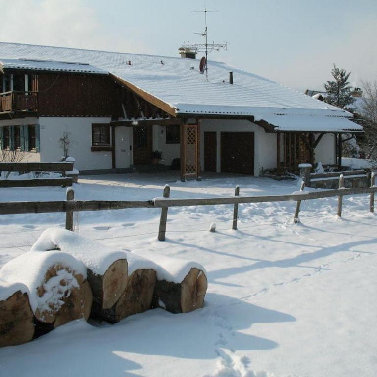 Haus Regina - Apartment mit 1 Schlafzimmer - 10