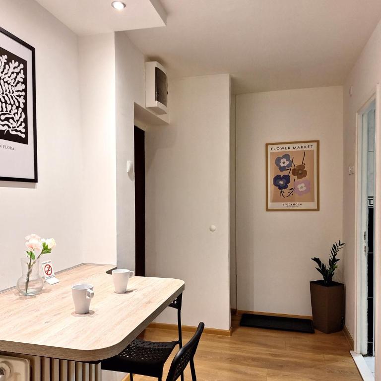 Max Arena - Apartman sa 1 Spavaćom Sobom - 8