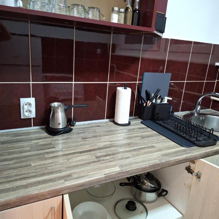 Max Arena - Apartman sa 1 Spavaćom Sobom - 12