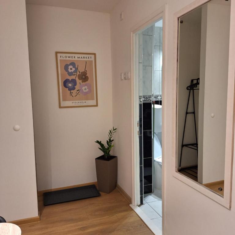 Max Arena - Apartman sa 1 Spavaćom Sobom - 10