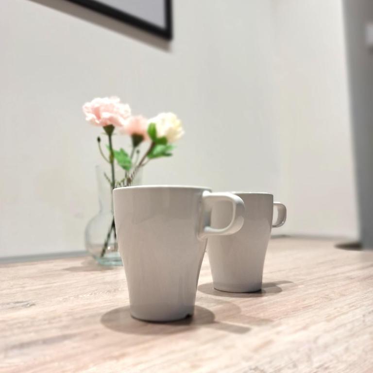 Max Arena - Apartman sa 1 Spavaćom Sobom - 9