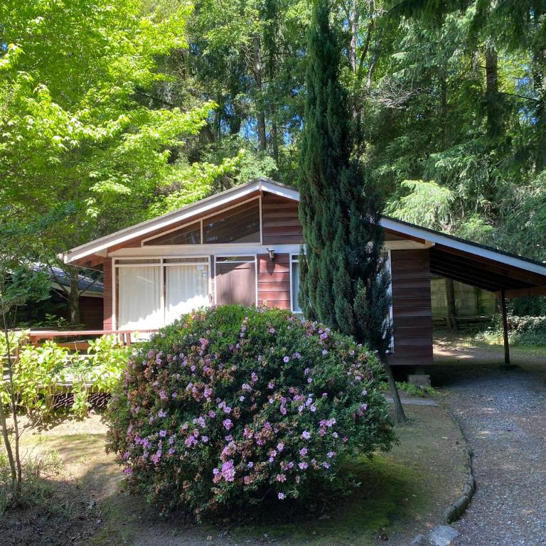 Cabañas Loncotraro - Two-Bedroom House - 8