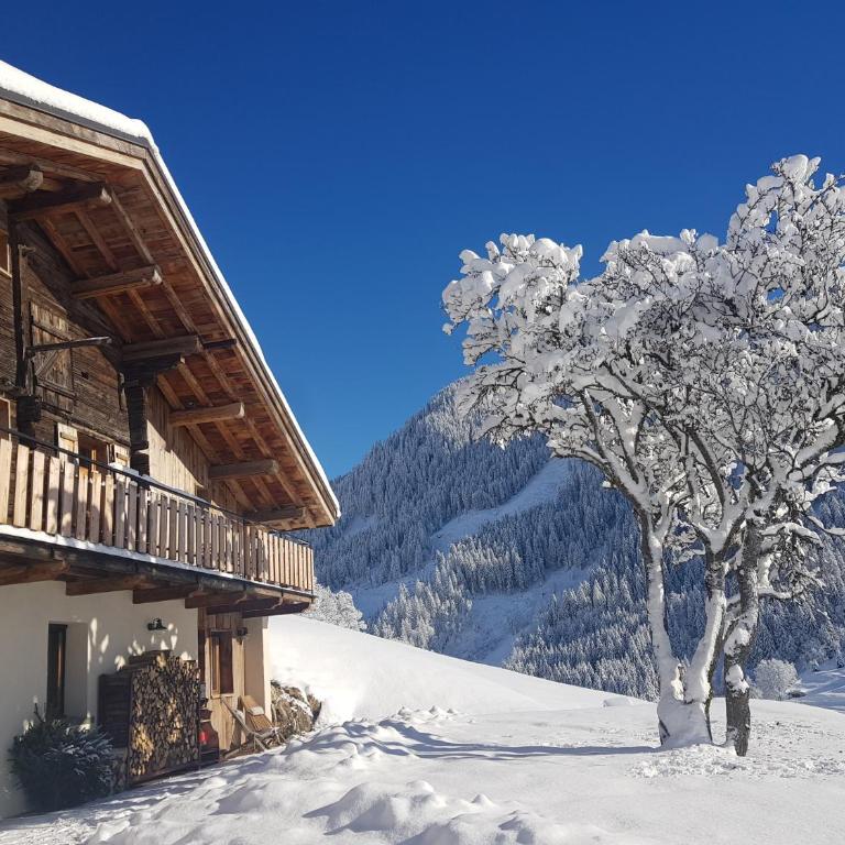 Aux fermes de la Croix, Maison d'hôtes, Spa - Camera Matrimoniale/Doppia con Letti Singoli con Terrazza - 21