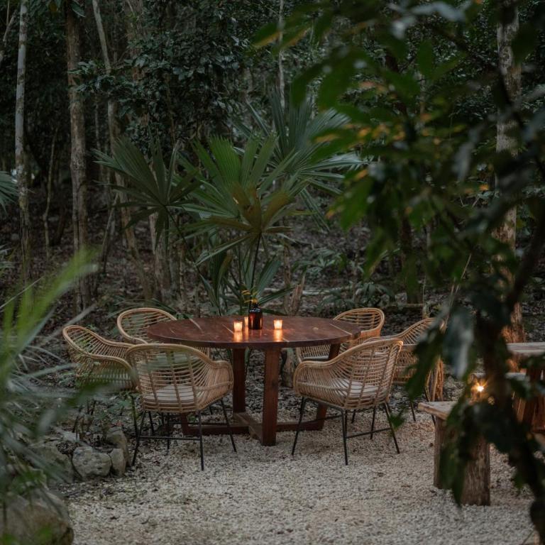 Naum - Secluded Villa with Private Cenote - Villa - 71