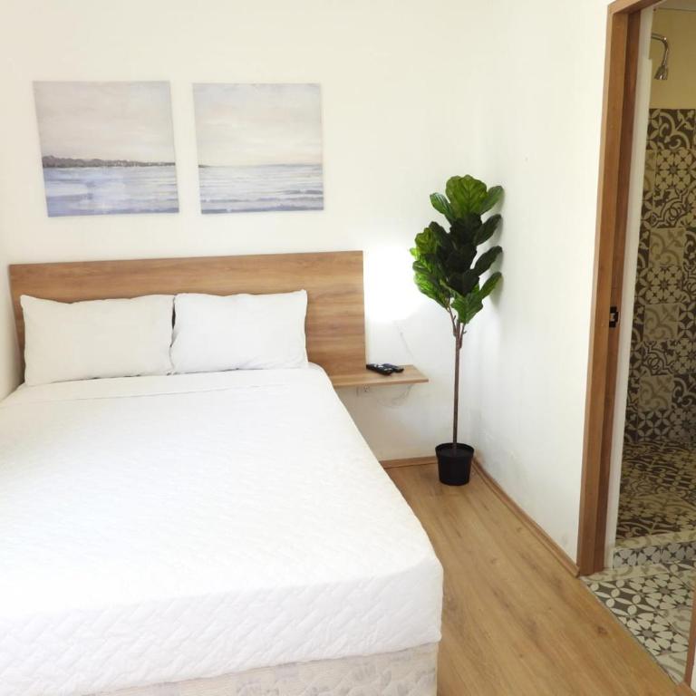 Singular Antara - Double Room - 15