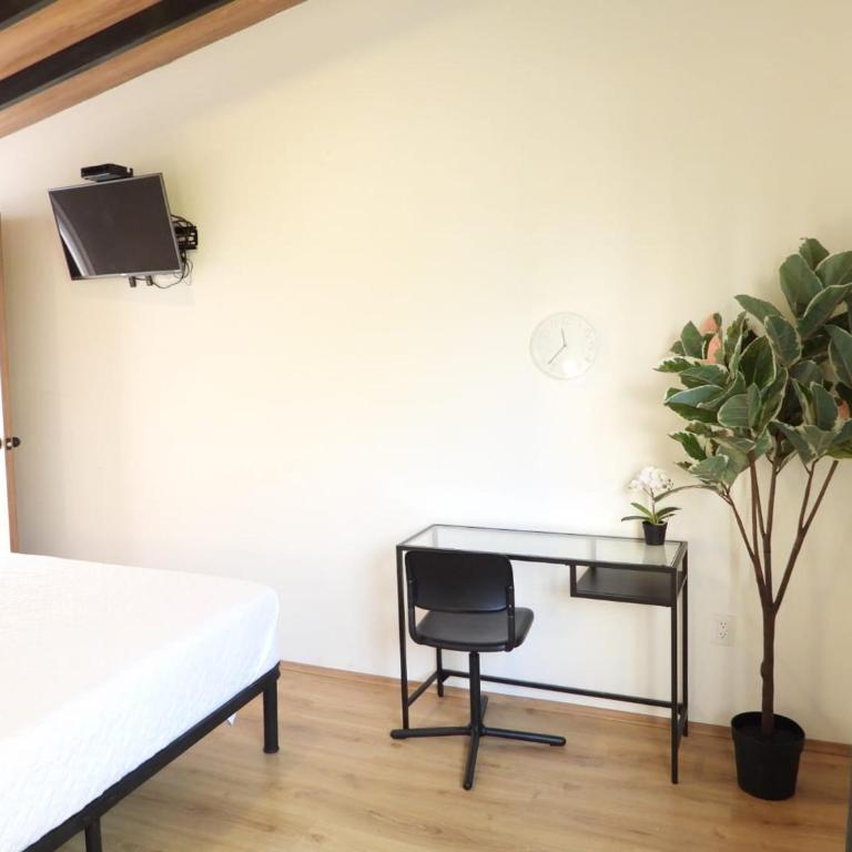 Singular Antara - Deluxe Room - 3