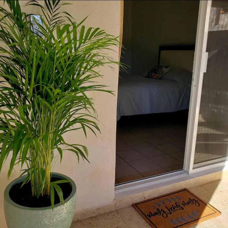 3 Bedrooms Home. Walking distance to the Malecon. - Casa de 3 dormitorios - 13