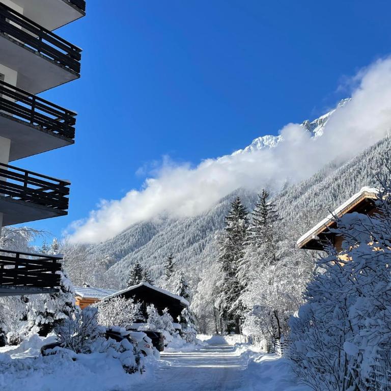 Résidence Bois du Bouchet, appartement vue montagne, calme, parking gratuit, proche centre - Appartement 1 Chambre - 25