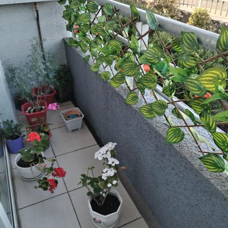 Liucura Apart Edificio Aldunate Temuco - Two-Bedroom Apartment - 19