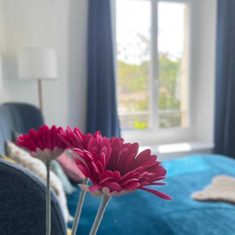 Fiorella's Cannes Oasis - Appartement 2 Chambres - 61