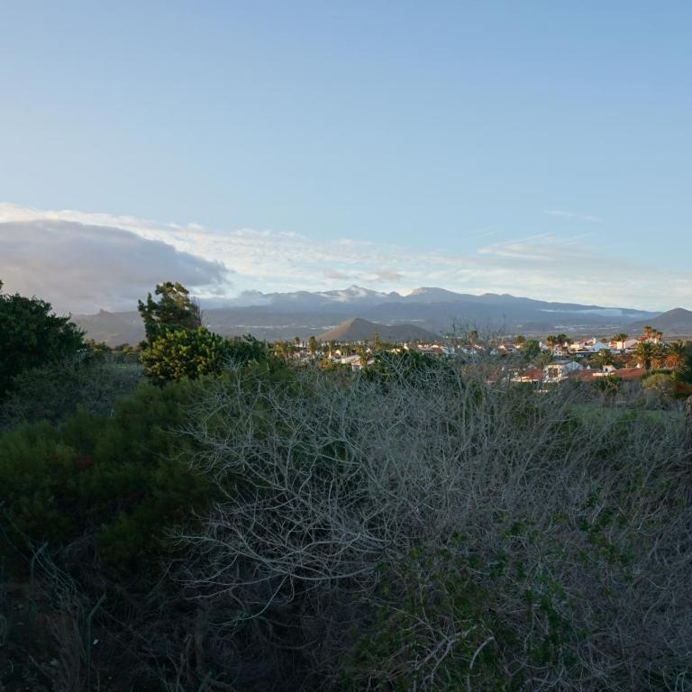 Golf del Sur Apartment - magnificent panorama of the ocean, el Teide, and Montaña Roja - Apartamento de 1 dormitorio - 66