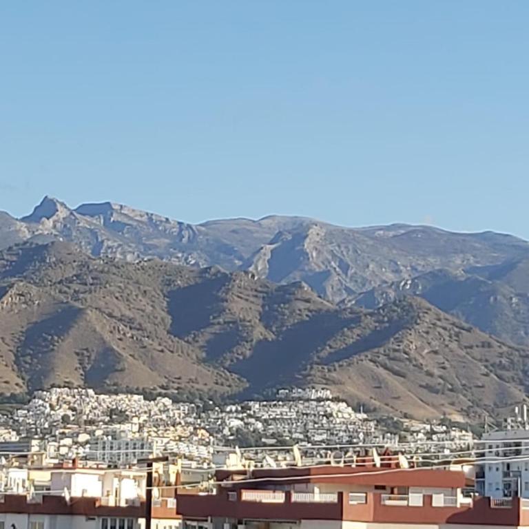 ALBAIDA - Apartamento de 1 dormitorio - 18