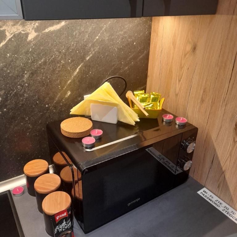 Aparmani Sorak Kopaonik, Studio Apartman A5 - Studio Apartman - 10